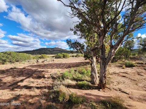 Tiny photo for Lot 18 N8612, Concho, AZ 85924 (MLS # 259348)