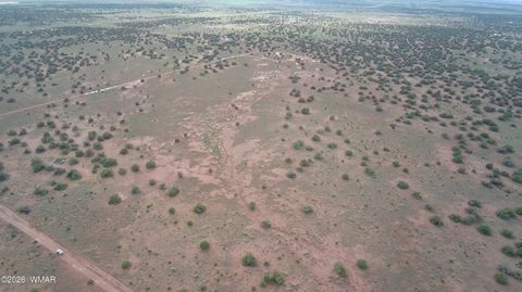 Tiny photo for Lot 18 N8612, Concho, AZ 85924 (MLS # 259348)