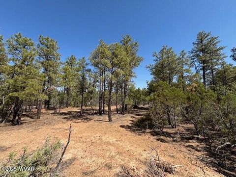 Tiny photo for 181 S Cliffrose Lane, Show Low, AZ 85901 (MLS # 257599)