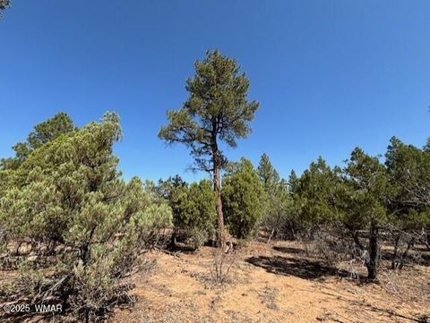 Tiny photo for 181 S Cliffrose Lane, Show Low, AZ 85901 (MLS # 257599)