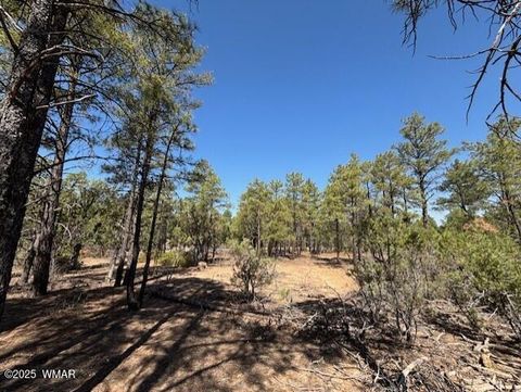 Tiny photo for 181 S Cliffrose Lane, Show Low, AZ 85901 (MLS # 257599)