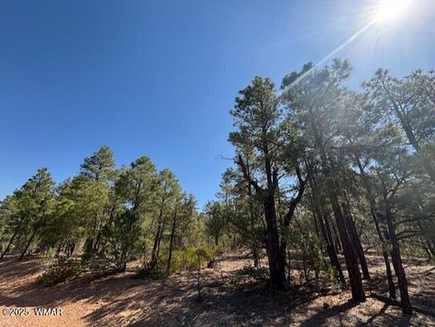 Tiny photo for 181 S Cliffrose Lane, Show Low, AZ 85901 (MLS # 257599)