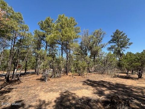 Tiny photo for 181 S Cliffrose Lane, Show Low, AZ 85901 (MLS # 257599)