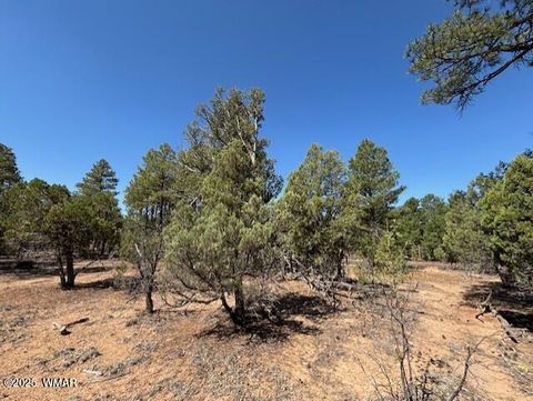 Tiny photo for 181 S Cliffrose Lane, Show Low, AZ 85901 (MLS # 257599)