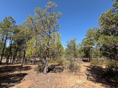 Tiny photo for 181 S Cliffrose Lane, Show Low, AZ 85901 (MLS # 257599)