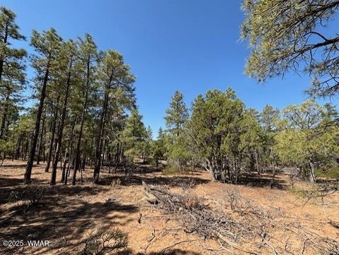 Tiny photo for 181 S Cliffrose Lane, Show Low, AZ 85901 (MLS # 257599)