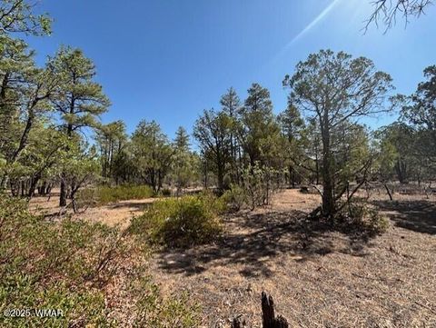 Tiny photo for 181 S Cliffrose Lane, Show Low, AZ 85901 (MLS # 257599)
