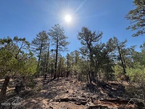 Tiny photo for 181 S Cliffrose Lane, Show Low, AZ 85901 (MLS # 257599)