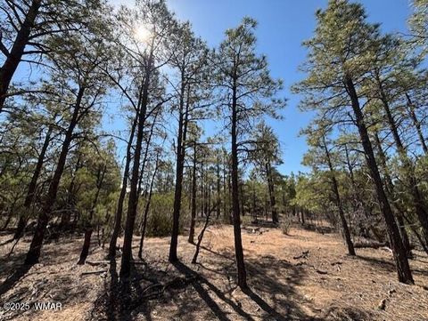 Photo of 181 S Cliffrose Lane, Show Low, AZ 85901 (MLS # 257599)