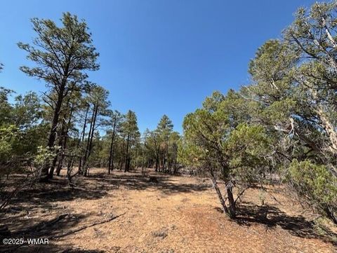 Tiny photo for 181 S Cliffrose Lane, Show Low, AZ 85901 (MLS # 257599)