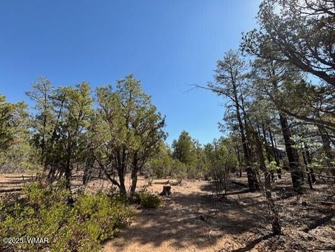 Tiny photo for 181 S Cliffrose Lane, Show Low, AZ 85901 (MLS # 257599)