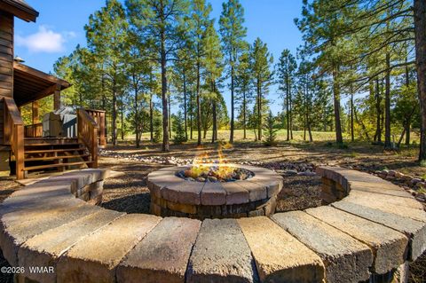 Tiny photo for 3861 W Hawthorn Road, Show Low, AZ 85901 (MLS # 259051)