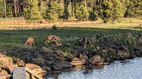 Tiny photo for 2358 E Rainbow Lane, Pinetop, AZ 85935 (MLS # 259127)