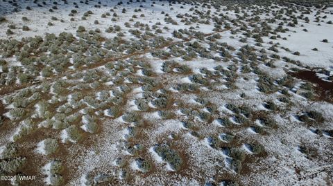 Tiny photo for 8565 Pine Lane, Snowflake, AZ 85937 (MLS # 259266)