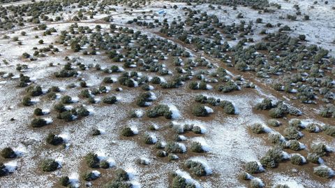 Tiny photo for 8565 Pine Lane, Snowflake, AZ 85937 (MLS # 259266)