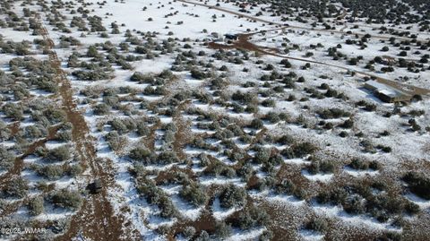 Tiny photo for 8565 Pine Lane, Snowflake, AZ 85937 (MLS # 259266)
