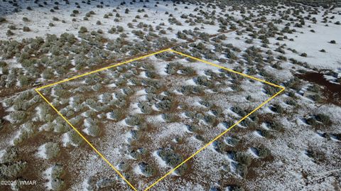 Tiny photo for 8565 Pine Lane, Snowflake, AZ 85937 (MLS # 259266)