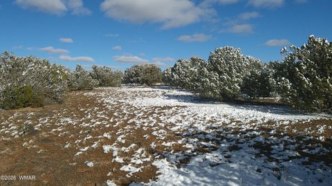 Tiny photo for 8565 Pine Lane, Snowflake, AZ 85937 (MLS # 259266)