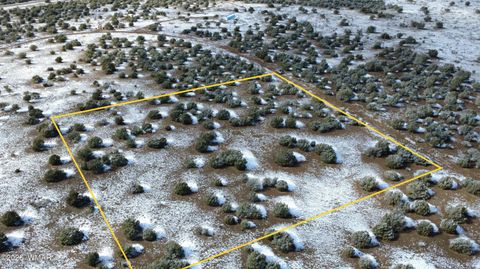 Tiny photo for 8565 Pine Lane, Snowflake, AZ 85937 (MLS # 259266)