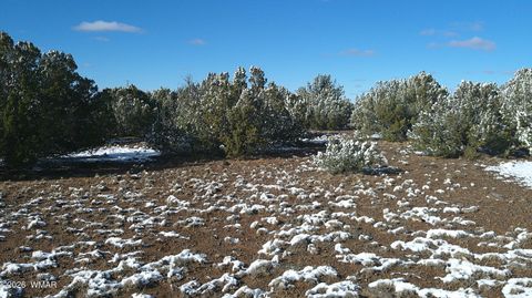 Tiny photo for 8565 Pine Lane, Snowflake, AZ 85937 (MLS # 259266)