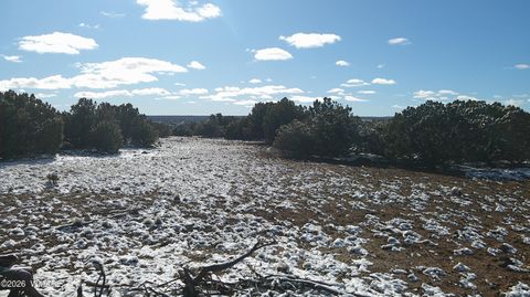 Tiny photo for 8565 Pine Lane, Snowflake, AZ 85937 (MLS # 259266)