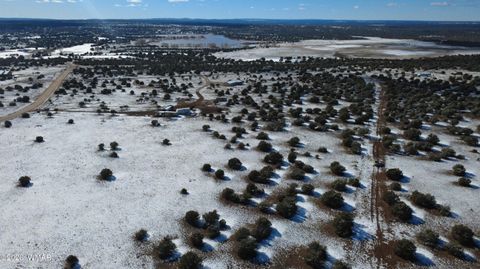 Tiny photo for 8565 Pine Lane, Snowflake, AZ 85937 (MLS # 259266)