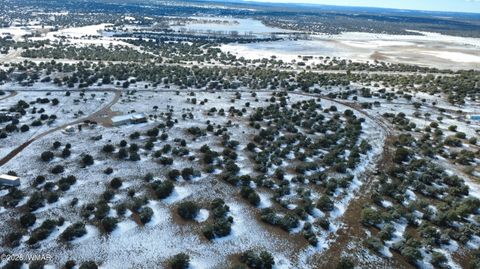 Tiny photo for 8565 Pine Lane, Snowflake, AZ 85937 (MLS # 259266)