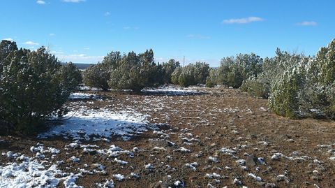 Tiny photo for 8565 Pine Lane, Snowflake, AZ 85937 (MLS # 259266)