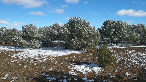 Tiny photo for 8565 Pine Lane, Snowflake, AZ 85937 (MLS # 259266)