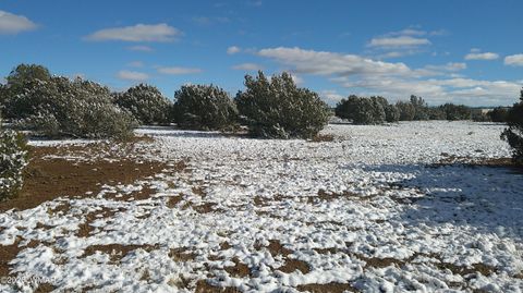 Tiny photo for 8565 Pine Lane, Snowflake, AZ 85937 (MLS # 259266)