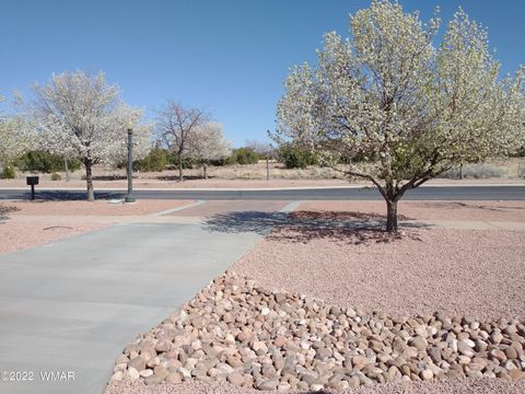 Tiny photo for 154 S Frontier Parkway, Snowflake, AZ 85937 (MLS # 260198)