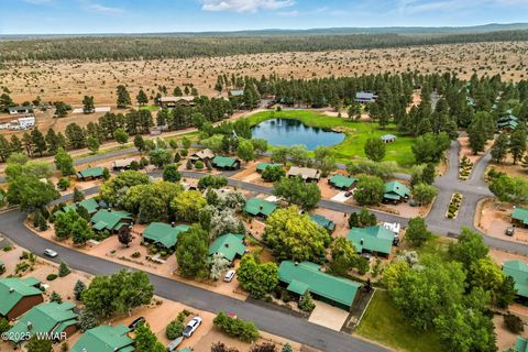 Tiny photo for 2344 S Buffalo Loop, Overgaard, AZ 85933 (MLS # 257078)