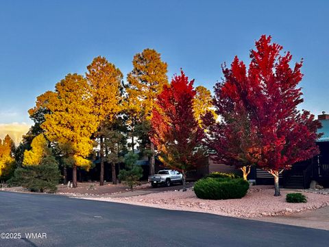 Tiny photo for 2344 S Buffalo Loop, Overgaard, AZ 85933 (MLS # 257078)