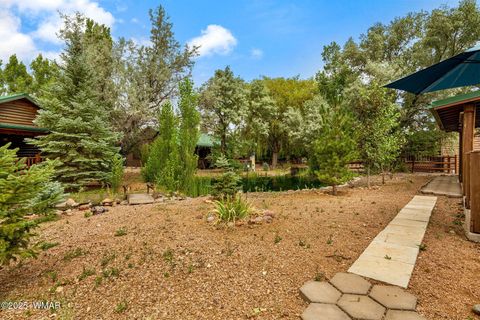 Tiny photo for 2344 S Buffalo Loop, Overgaard, AZ 85933 (MLS # 257078)