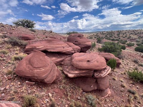 Tiny photo for 000 N5158, Concho, AZ 85924 (MLS # 258859)