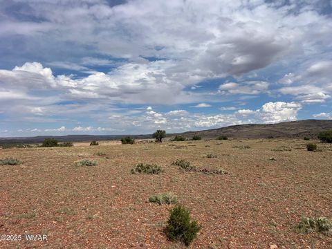 Tiny photo for 000 N5158, Concho, AZ 85924 (MLS # 258859)