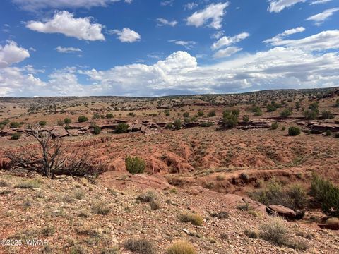 Tiny photo for 000 N5158, Concho, AZ 85924 (MLS # 258859)