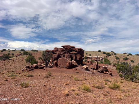 Tiny photo for 000 N5158, Concho, AZ 85924 (MLS # 258859)