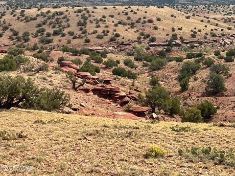 Tiny photo for 000 N5158, Concho, AZ 85924 (MLS # 258859)