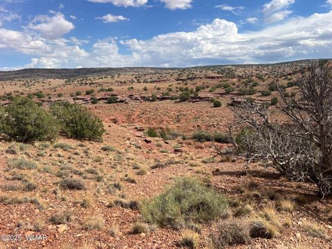 Tiny photo for 000 N5158, Concho, AZ 85924 (MLS # 258859)