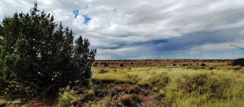 Tiny photo for 5214 Sour Dough Road, Snowflake, AZ 85937 (MLS # 258284)