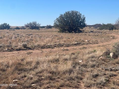 Photo of 1515 Pumpkin Patch Rd, Heber, AZ 85928 (MLS # 259736)