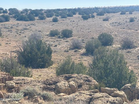 Tiny photo for 1515 Pumpkin Patch Rd, Heber, AZ 85928 (MLS # 259736)