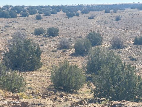 Tiny photo for 1515 Pumpkin Patch Rd, Heber, AZ 85928 (MLS # 259736)