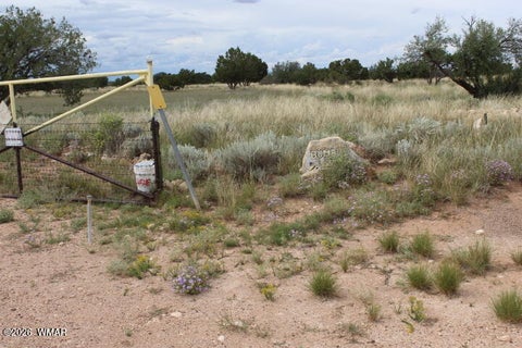 Tiny photo for 995 Rock on Dam Tank Road, Heber, AZ 85928 (MLS # 263354)