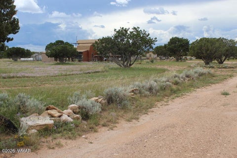 Photo of 995 Rock on Dam Tank Road, Heber, AZ 85928 (MLS # 263354)