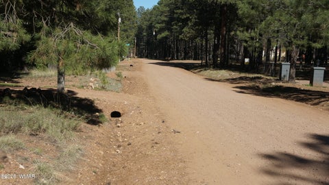 Tiny photo for 1667 Little Pine Trail, Forest Lakes, AZ 85931 (MLS # 260445)