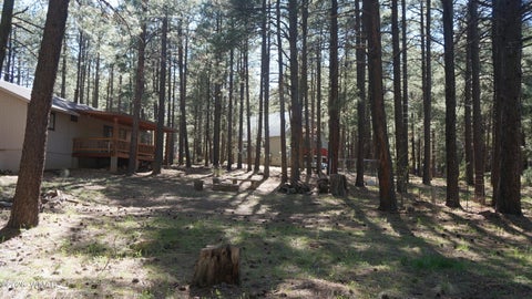 Tiny photo for 1667 Little Pine Trail, Forest Lakes, AZ 85931 (MLS # 260445)
