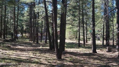 Tiny photo for 1667 Little Pine Trail, Forest Lakes, AZ 85931 (MLS # 260445)