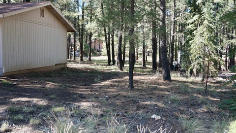 Tiny photo for 1667 Little Pine Trail, Forest Lakes, AZ 85931 (MLS # 260445)
